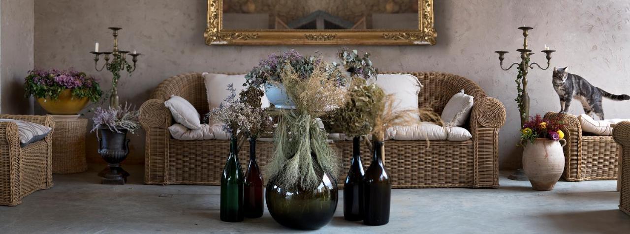 Domaine D'Egenia Villa Roussillon en Isere Kültér fotó