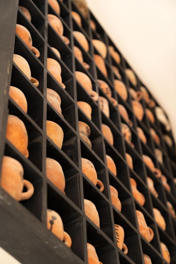 Domaine D'Egenia Villa Roussillon en Isere Kültér fotó