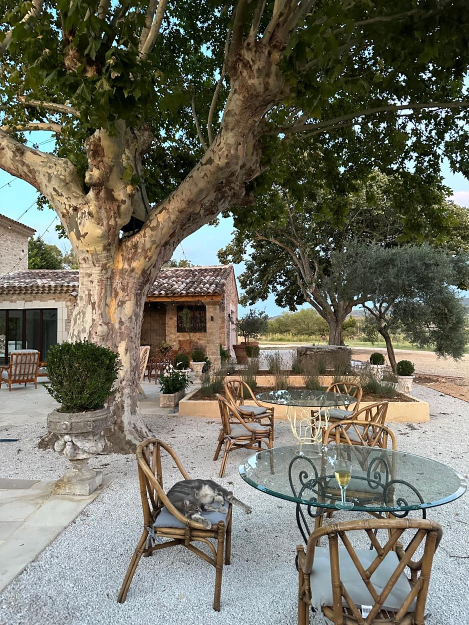 Domaine D'Egenia Villa Roussillon en Isere Kültér fotó